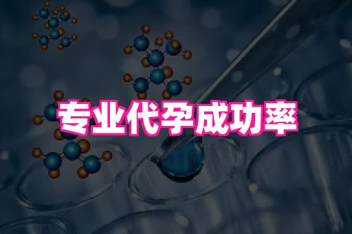 南昌助孕网 3